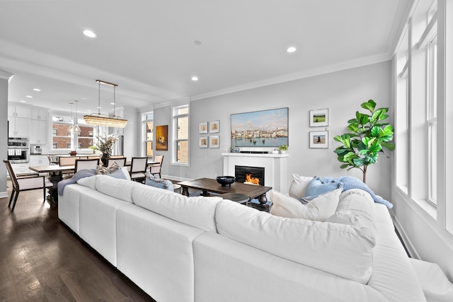 living room with dark wood-type flooring and ornamental molding