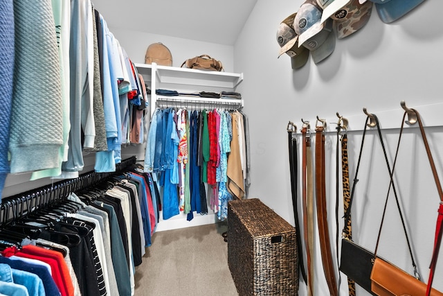 spacious closet with carpet floors