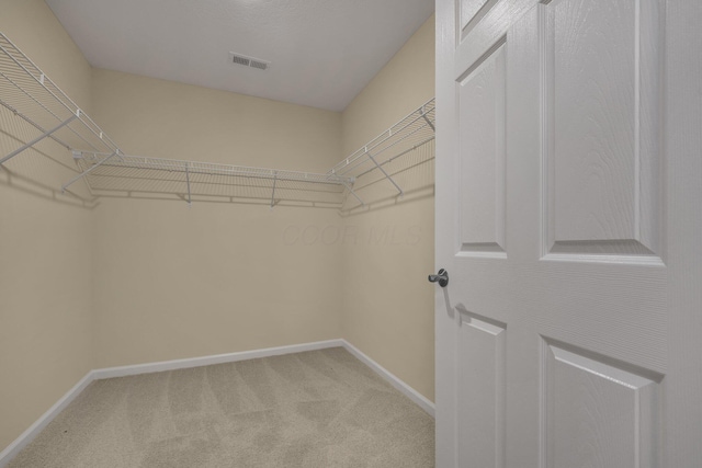 walk in closet with light colored carpet