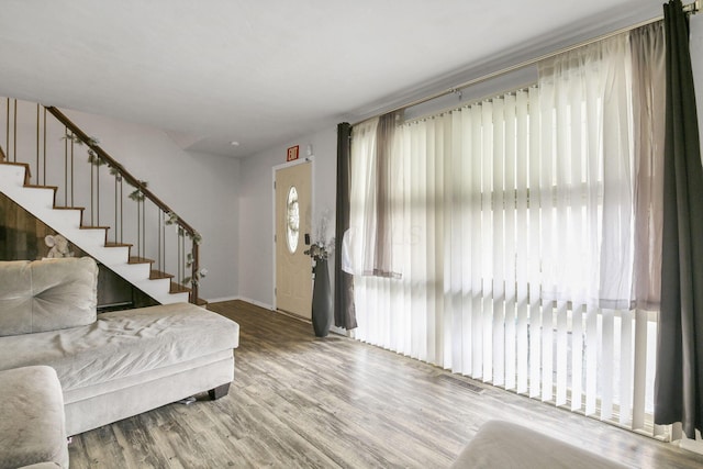 foyer entrance featuring a healthy amount of sunlight and hardwood / wood-style flooring