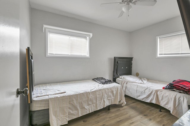 bedroom featuring ceiling fan, dark wood-type flooring, and multiple windows