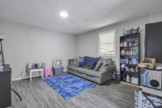 living room featuring wood-type flooring