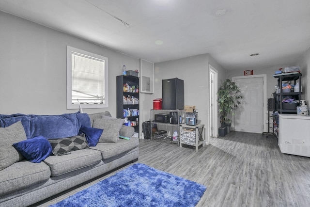 living room with wood-type flooring