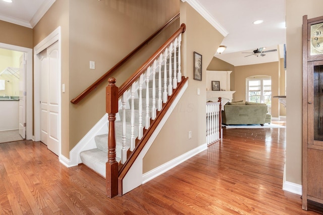 stairway featuring crown molding, hardwood / wood-style floors, and ceiling fan