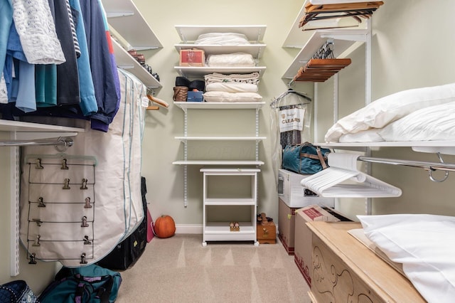 spacious closet with light colored carpet