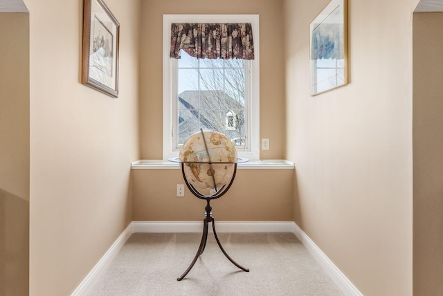 interior details with carpet floors