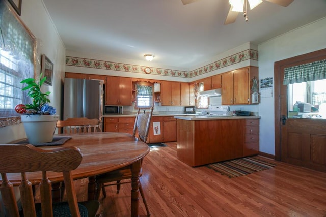 kitchen featuring kitchen peninsula, plenty of natural light, light wood-type flooring, and appliances with stainless steel finishes