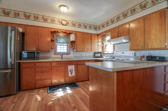 kitchen featuring kitchen peninsula, appliances with stainless steel finishes, light hardwood / wood-style flooring, and sink