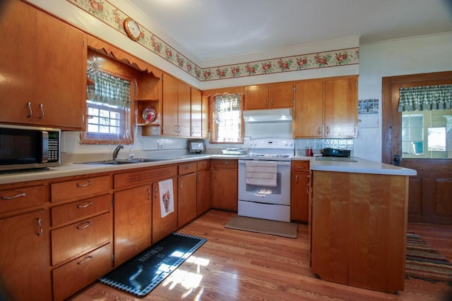 kitchen with white electric range, crown molding, sink, light wood-type flooring, and tasteful backsplash