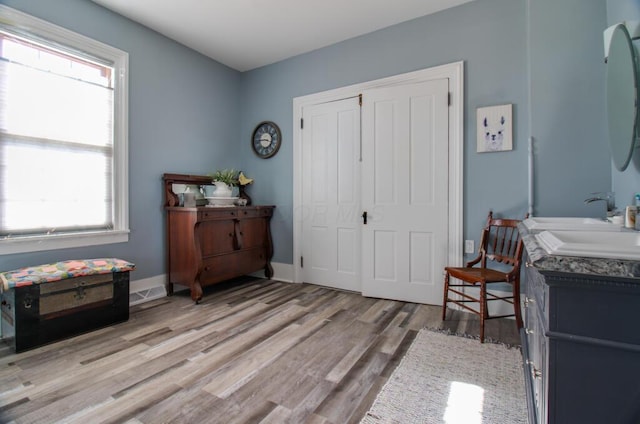 interior space featuring light hardwood / wood-style floors and sink