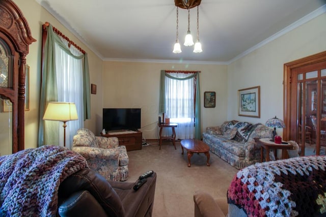 carpeted living room with crown molding and an inviting chandelier