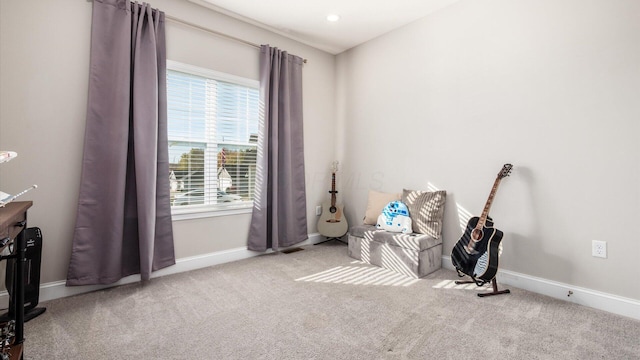 bedroom featuring carpet