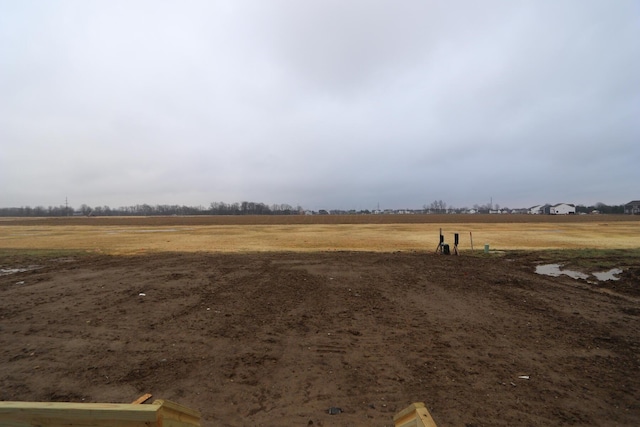 view of yard featuring a rural view