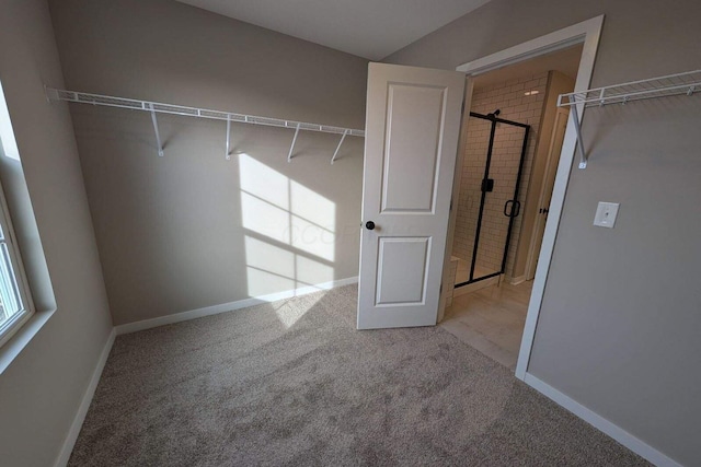 walk in closet with carpet flooring