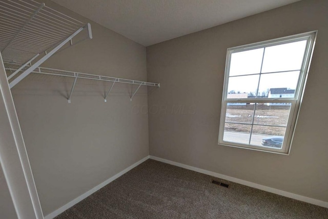 walk in closet featuring visible vents and carpet flooring