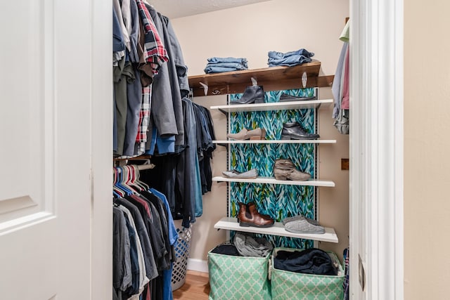 walk in closet with wood-type flooring