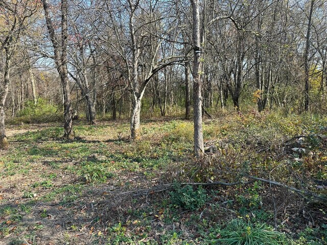 LOT5 Mockingbird Ln, Granville, OH 43023 - photo 5