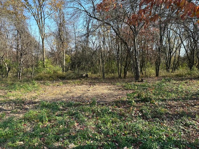 LOT5 Mockingbird Ln, Granville, OH 43023 - photo 6