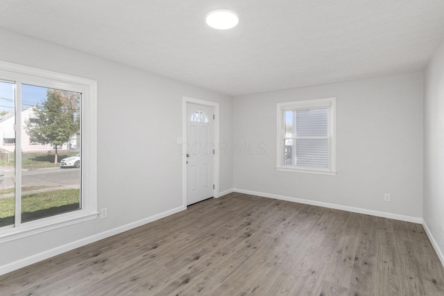 foyer with wood-type flooring