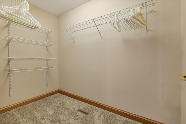 spacious closet with carpet floors