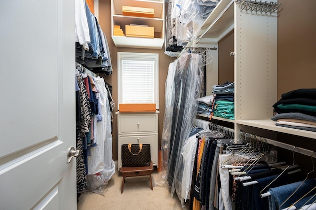 walk in closet featuring light carpet