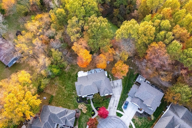 bird's eye view