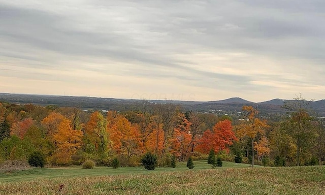 view of mountain feature