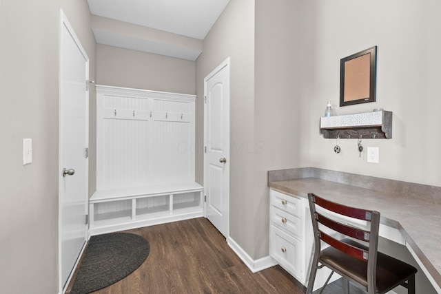 mudroom featuring dark wood-type flooring