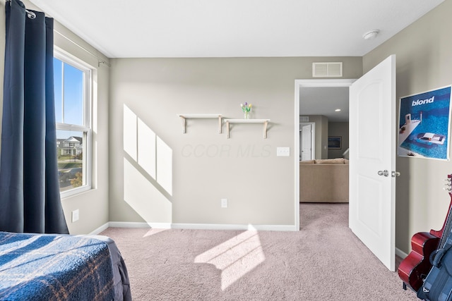 carpeted bedroom with multiple windows