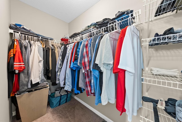 spacious closet featuring carpet