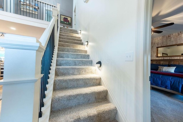 stairway featuring ceiling fan and carpet floors