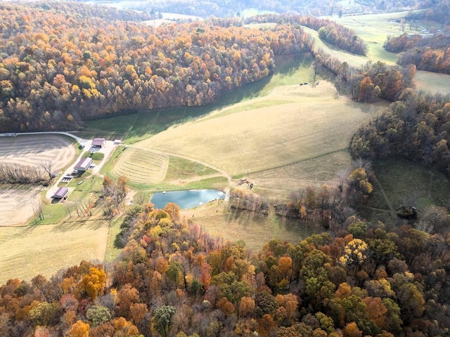 birds eye view of property with a rural view and a water view