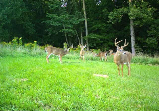 5971 Marion Rd NE, Newark, OH 43055 - photo 79