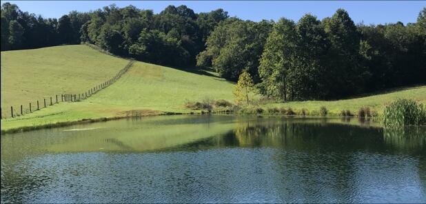 view of water feature