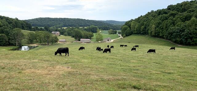 view of property's community featuring a mountain view, a rural view, and a yard