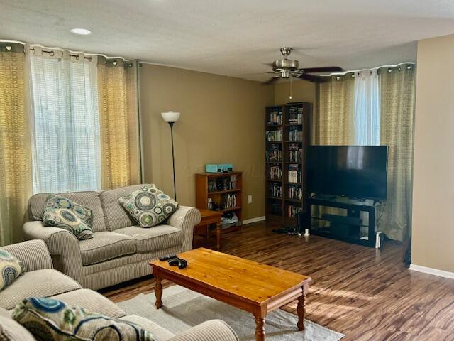 living room with hardwood / wood-style flooring and ceiling fan