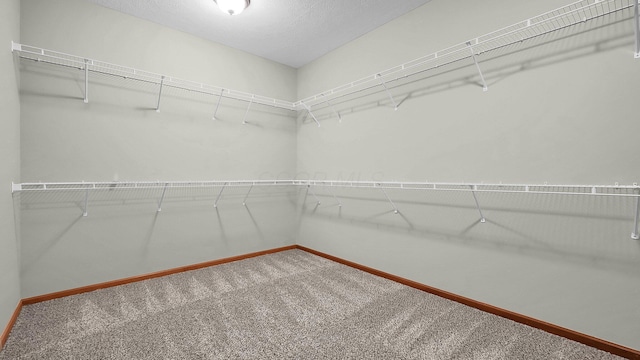 spacious closet with carpet floors