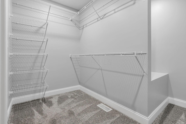 walk in closet with carpet flooring