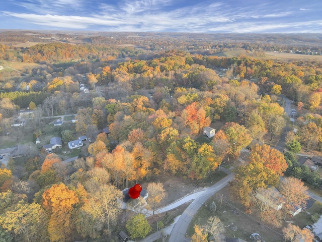 bird's eye view