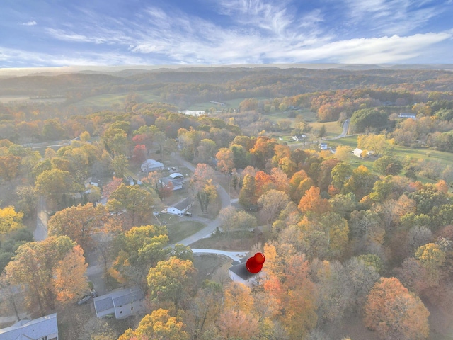 aerial view