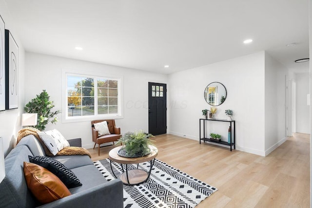 living room featuring light wood-type flooring