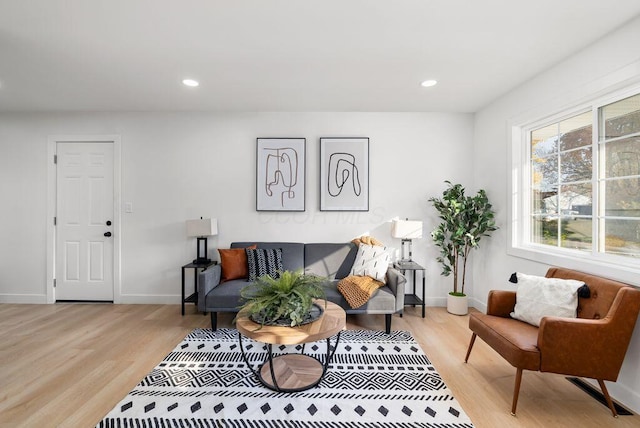 living room featuring light hardwood / wood-style floors