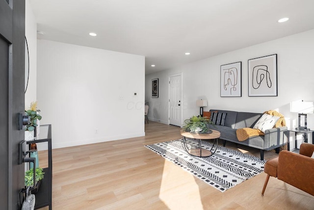 living room featuring light hardwood / wood-style floors