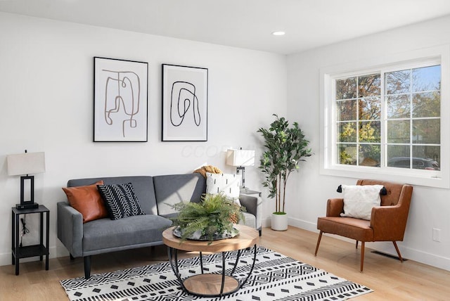 living room with light hardwood / wood-style flooring