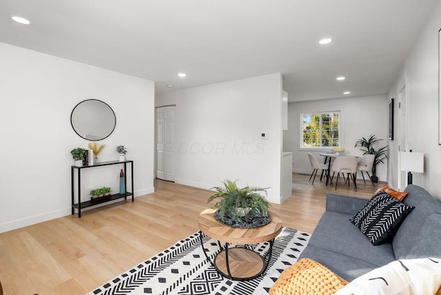 living room featuring light wood-type flooring