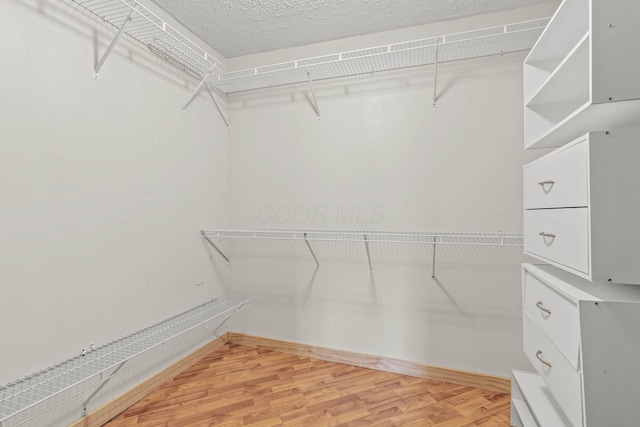 spacious closet with hardwood / wood-style flooring