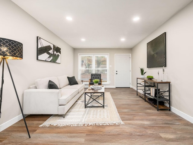 living room featuring hardwood / wood-style floors