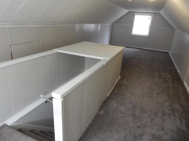 1447 Republic Ave, Columbus, OH 43211 - additional living space featuring vaulted ceiling, wooden walls, dark carpet, and a textured ceiling
