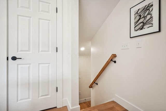 staircase featuring wood-type flooring