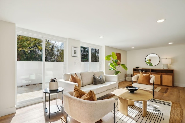 living room featuring light wood-type flooring